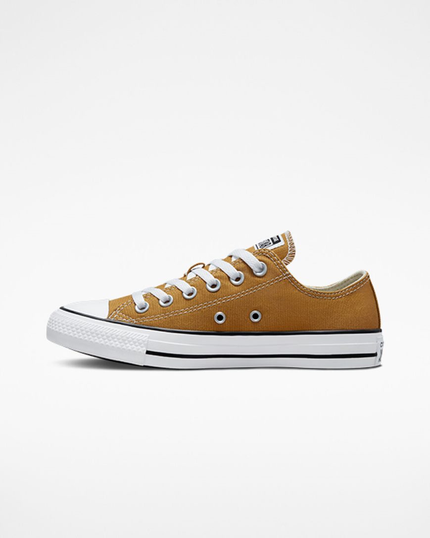 Tenisky Nizke Converse Chuck Taylor All Star Seasonal Color Panske Oranžové | SK XHMJD4